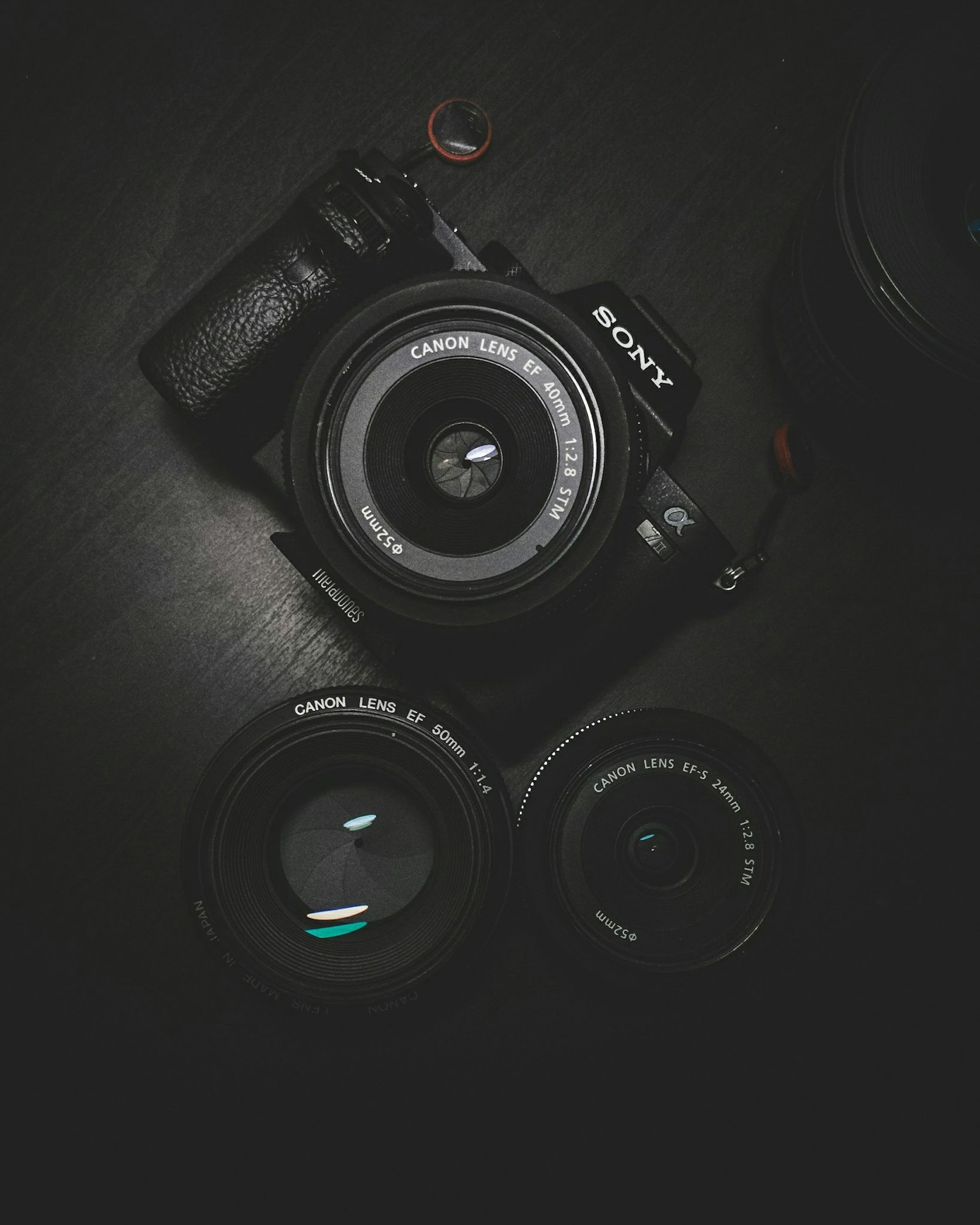 Professional camera body with Canon lenses on dark surface