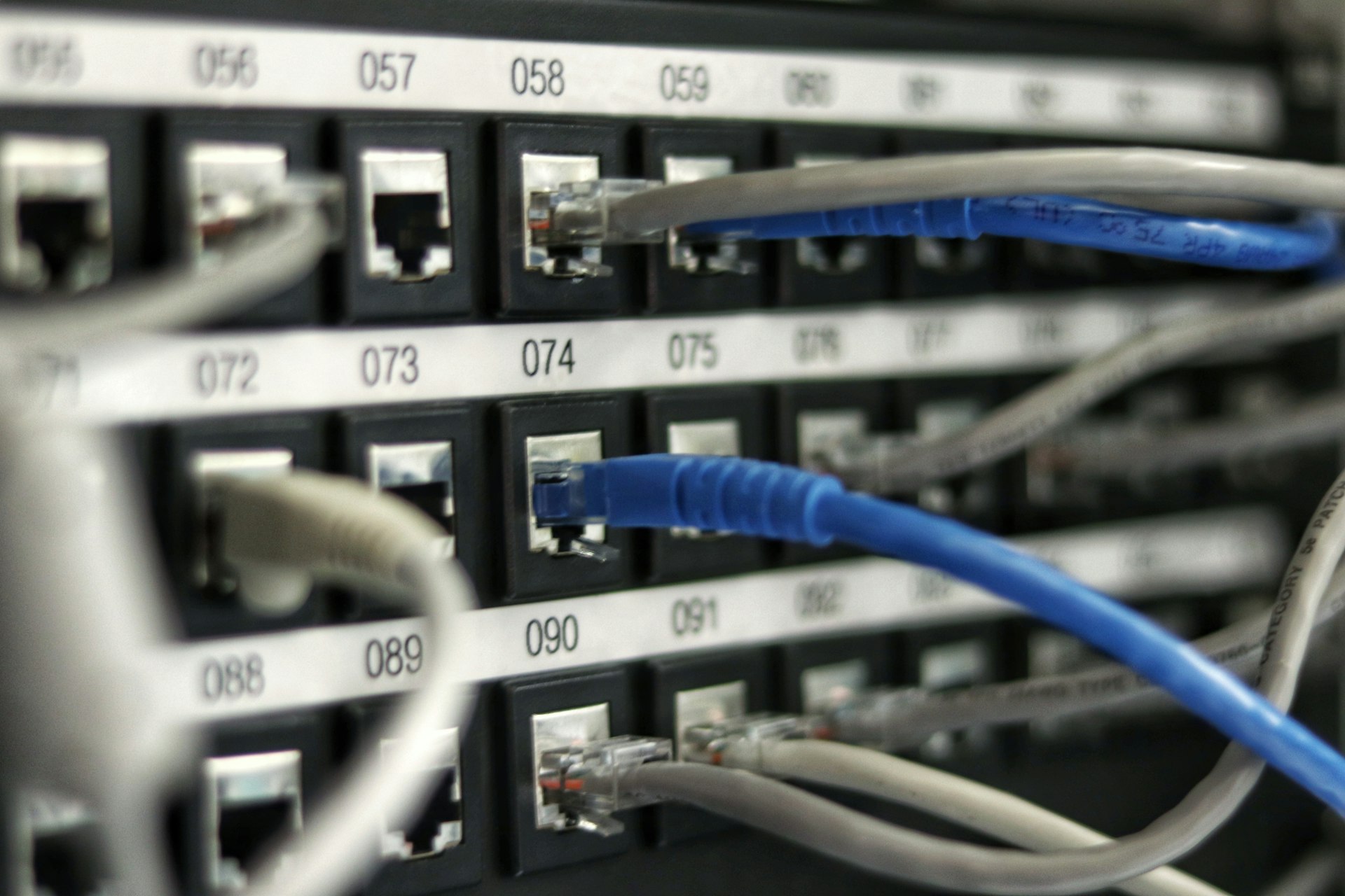 Server network cables and infrastructure showing data connections